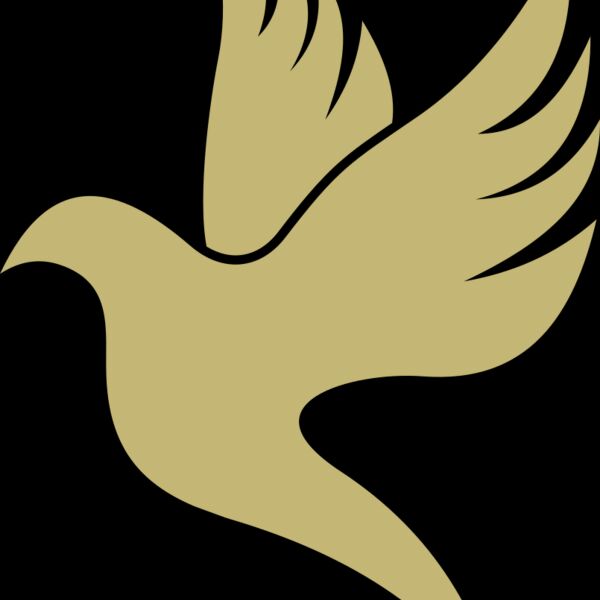 Dove 2 Thumbnail