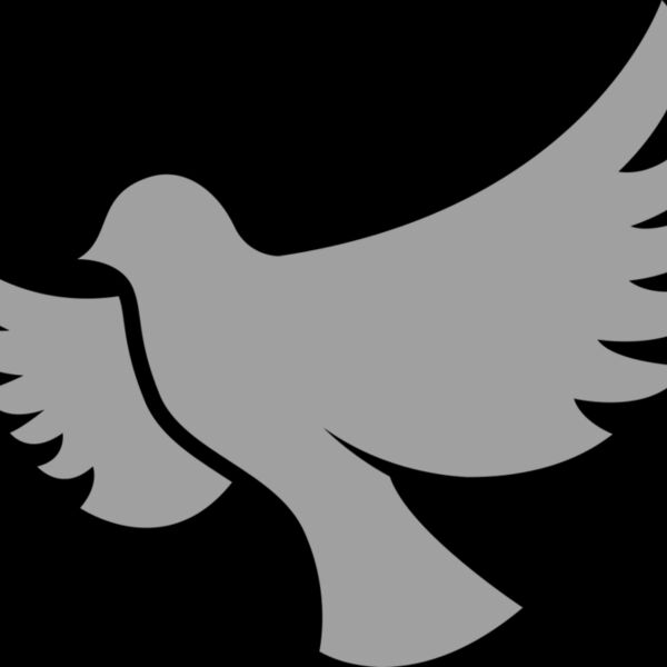 Dove Thumbnail