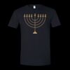 Unisex Softstyle® T-Shirt Thumbnail