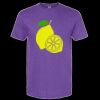 Unisex Softstyle® CVC T-Shirt Thumbnail